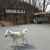 裂石温泉「雲峰荘」で犬散歩　13-14APR'2018