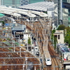 白蛇様～な東海道新幹線