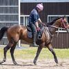 １２日に函館競馬場へ移動しています。☆ヒーズオールザット