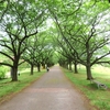 富山県中央植物園を巡る ⑥（富山県富山市）