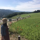 日日是好日ブログ