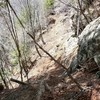 杣口・奥千丈林用軌道　雑に探索　6