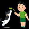 【お勉強】デッドキャットバウンス とは