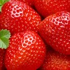 イチゴ食べ放題🍓に行って来ました。イチゴ🍓って全部で何種類？