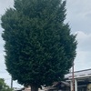 三連休は雨模様