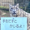 2024年の振り返りと来年に向けての抱負