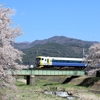高遠さくら号と桜を絡めて in横河川