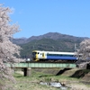 高遠さくら号と桜を絡めて in横河川