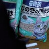 猫も気分転換