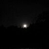 今夜の月