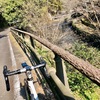 豊後高田市　都甲から真玉、宇佐市へ自転車トレーニング。
