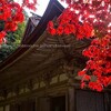 湖東三山・金剛輪寺