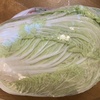 (土) サウジの「白菜」の値段は日本の10倍！