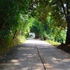 首長族の住む「バーン・トン・ルアン」（Baan Tong Luang Eco-Agricultural Village）には日本の原風景が残っていたっぺ(о´∀`о)