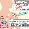 新型コロナウィルスとワクチンの真実③