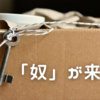 引越決定🙌🏻いかに安くスムーズに移るか…腕がなります(*´-`)g！