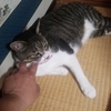 ワタルの恋