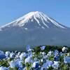 今年のGWは伊豆・河口湖へ 1日目【河口湖・沼津・伊豆長岡】