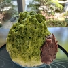 一年ぶりの濃茶かき氷