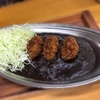 【第30回 輪島あえの風冬まつり】輪島ふぐごっつお祭り 店舗紹介『ゴーゴーカレー輪島店』