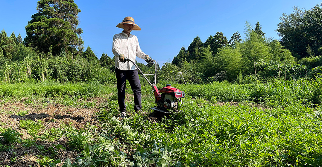 佐渡島の古民家に家族で移住した音楽家 佐藤望さんの地元スーパーで魚介コーナーを巡る日常 いろんな街で捕まえて食べる Suumoタウン