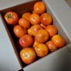今月は 散財月
