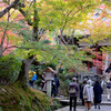 常寂光寺秋の彩りその１