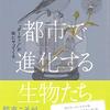 街にいるハトとか気になるよね【読書感想文】『都市で進化する生物たち』メノ・スヒルトハウゼン