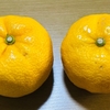 今日いち-2024年12月22日