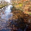 ひと狩りしようぜ！2017@弘前公園〜お日様の色