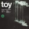 TOY 「Happy in the Hollow」