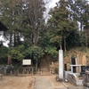 小見真観寺古墳  行田市小見