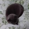 ラブラブタイムだったのに～。