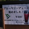 Cafeさくらの新メニュー　ブルーベリージュースとソフトクリームなど