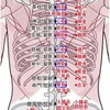 鍼灸の授業記録~20191122~