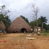 【ウガンダ旅行】カスビのブガンダ王墓群 - 生きる文化遺産への訪問レポート