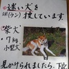 愛犬との涙の再会