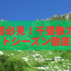 初心者必見！千畳敷カールのベストシーズン徹底ガイド