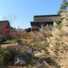 深まる秋の善光寺、参道も賑やかに！
