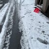 雪かきを妻の笑顔に励まされ