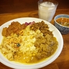 たんどーる and CURRY と 自作カレー