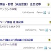 ブログ村の注目記事5