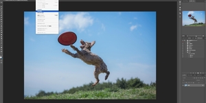 覚えておくと便利！Photoshopの被写体選択が秒で選択