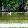 初夏のような牧野ヶ池