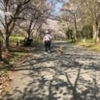 今年初の黄砂　飛来か　近づく赤茶の帯