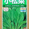 LED育苗器を使って小松菜の苗を栽培中。限られた面積で効率良く育てる実験中です