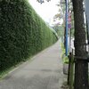 酷暑で、誰も居ない東山