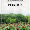 桜・さくら、見飽きた