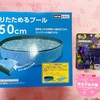 たでぇま！からの夏の水遊び準備ちょこちょことか。プティブロッサムリカちゃん開封とか。