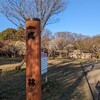 梅の花を見に、小金井公園の梅林に行ってみた。（小金井市関野町）
